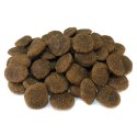 Arquivet Arquivet GRAIN FREE Indyk z warzywami 12 kg
