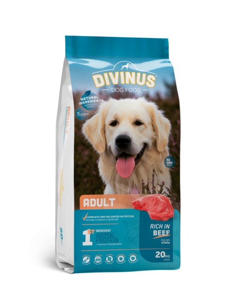 Divinus Divinus Adult dla psów dorosłych 20kg