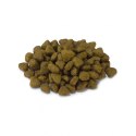 Arquivet ARQUIVET CAT Sucha karma dla kotów sterylizowanych z białą rybą i tuńczykiem 1,5 kg
