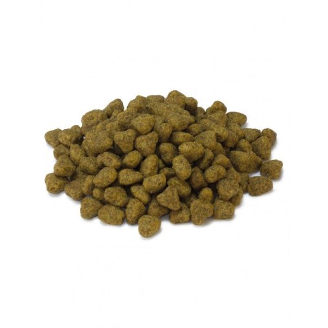 Arquivet ARQUIVET CAT Sucha karma dla kotów sterylizowanych z indykiem 1,5 kg