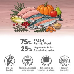 Arquivet Fresh ARQUIVET FRESH półwilgotny przysmak z łososiem 800g