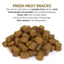 Arquivet Fresh ARQUIVET FRESH półwilgotny przysmak z łososiem 800g