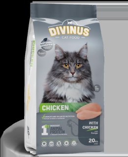 Divinus Divinus Cat Meat Chicken dla kotów dorosłych 2kg
