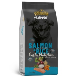 Divinus FLAVOUR łosoś z ryżem 18 kg